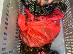 -外滩18号海鲜(三亚湾龙兴海鲜广场店)