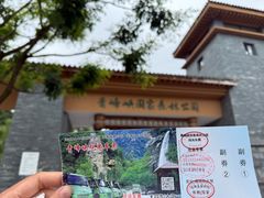 -青峰峡国家森林公园