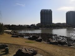 -南翔镇银翔湖公园