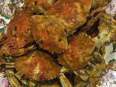 -小叶大馅饺子城