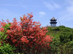 -大围山国家森林公园