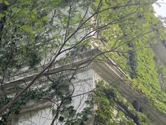 -叶家花园