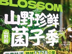 -盛焰铁板烧(王府井店)