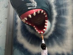 -海合安成都极地海洋公园