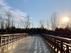 -东郊湿地公园