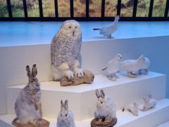 -贝林大翅鲸简餐厅(国家海洋博物馆店)