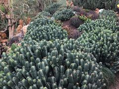 -南通洲际绿博园