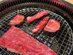 -和牛放题的殿堂 肉屋横丁(秋叶原店)