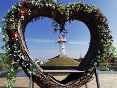 -海上花岛玫瑰园采摘