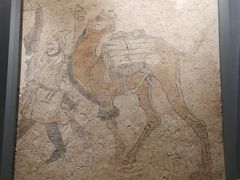 -洛阳古墓博物馆