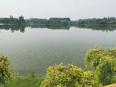 -东郊湿地公园