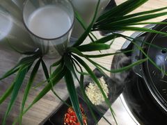 -探窝·竹笙椰子鸡(杨箕店)