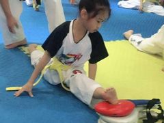 -嗨动跆拳道体能馆(菜百店)