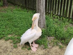 -上方山森林动物世界