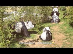 -武清南湖绿博园