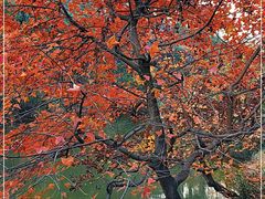 -白马涧龙池景区