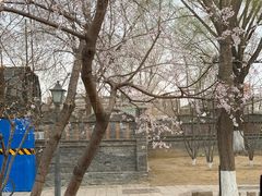 -春风习习