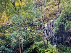 -云岫谷游猎自然风景区