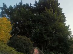 -华丰贺氏(福新西路店)