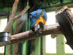 -海合安武汉极地海洋公园