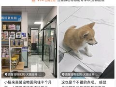 -嘉馨宠物医院·CT影像转诊·心脏科·犬猫全科诊疗中心(下沙大学城院区)