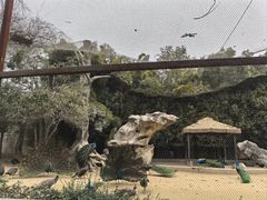 -南昌动物园