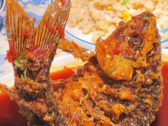 -雅味苑老菜馆(新体育馆店)