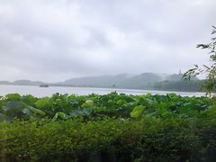 -湖畔居茶楼(湖滨店)