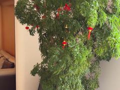 -JOYA湾悦国际酒店(世界之窗店)