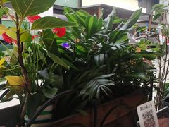 -西堤牛排(南京龙江店)