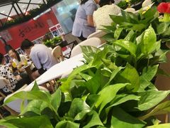 -无限双拼照烧双拼饭(和平店)