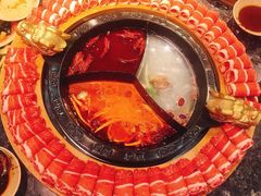 -蜀大侠火锅(森兰花园城店)