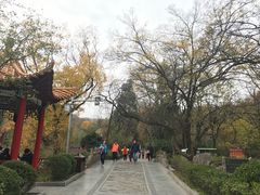 -皇藏峪国家森林公园