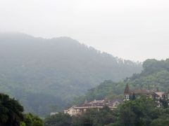 -银湖山郊野公园-相思林