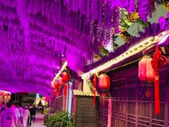 -婺源梦里老家大型山水实景演出