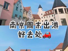 -大塘金香草谷