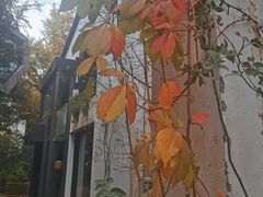 -鼓楼(西湖风景名胜区)