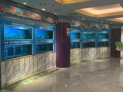 -金龙渔港(双楠店)