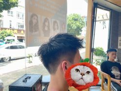 -星格造型·Hair Salon