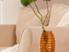 -北京稻香村(丰科万达广场店)