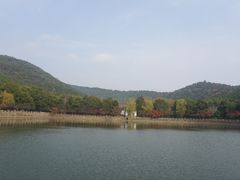 -九龙潭景区
