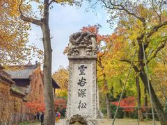 -灵谷景区