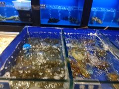 -金时代顺风大酒店(临港百联店)