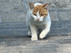 -娲皇宫