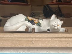 -Sirena海妖日咖夜酒