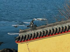 -辽宁团山国家级海洋公园
