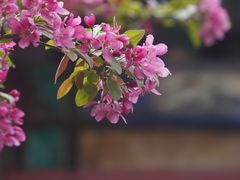 -恭王府博物馆