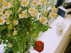 -Bamboo Today Cafe(国创园店)