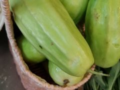 菜瓜-铁锅炖灶台鱼老三炖鱼馆