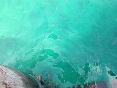 -东姑阿都拉曼海洋公园